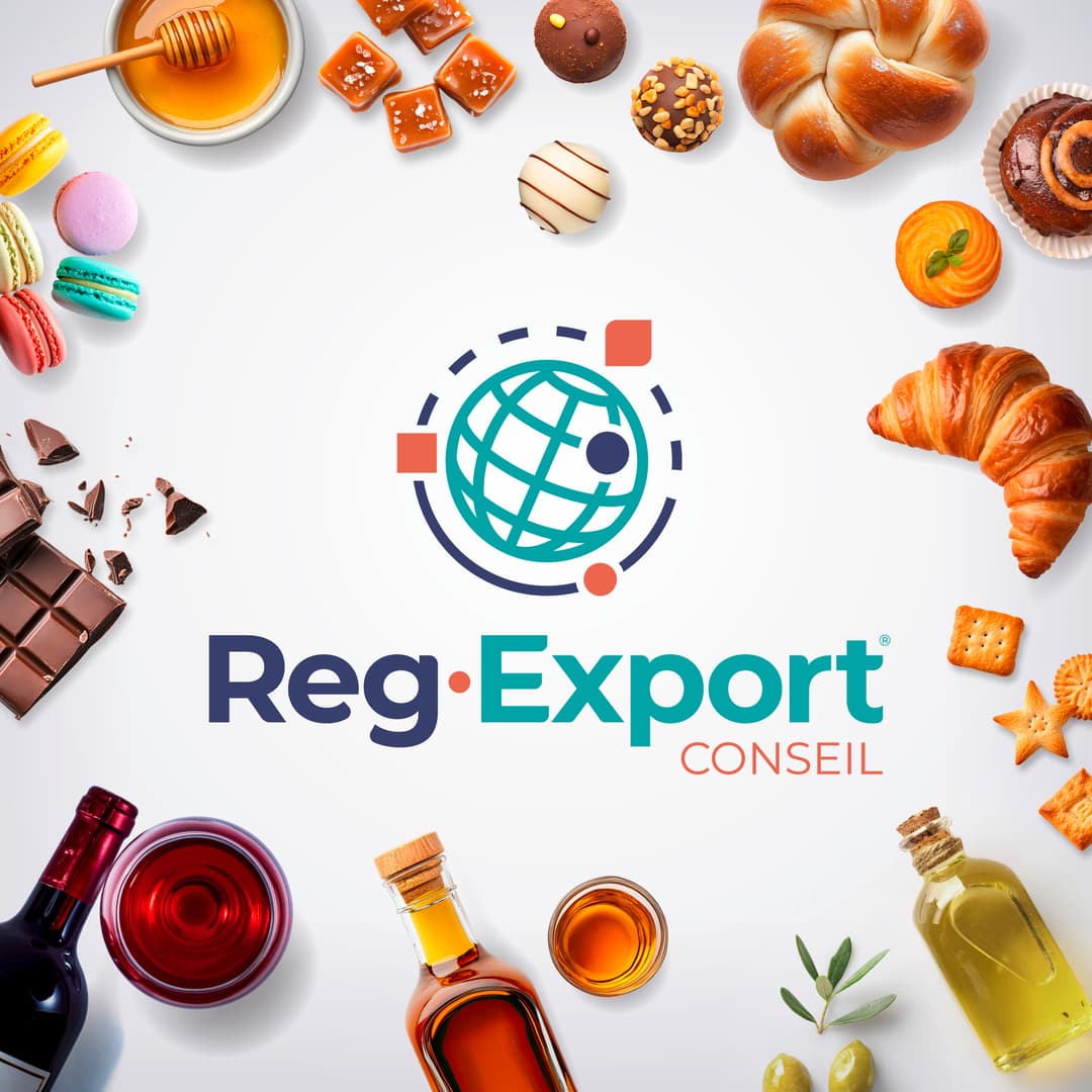 Logo RegExport Conseil - Expert en réglementation export hors UE